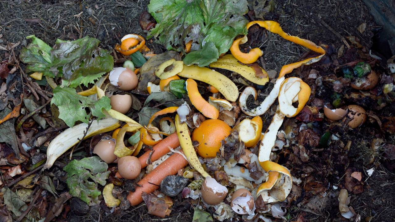 Essas dicas vão reduzir o desperdício de alimentos em casa