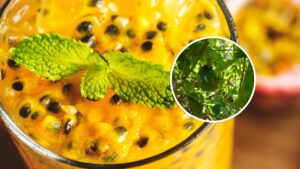 Como plantar maracujá em vasos na sua própria casa