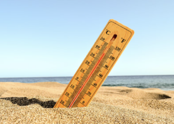 Onda de calor - veja dicas de segurança. Foto: FreePik