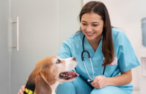 O coração dos pets pede cuidado. Foto: FreePik