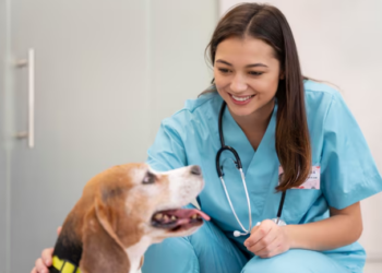 O coração dos pets pede cuidado. Foto: FreePik