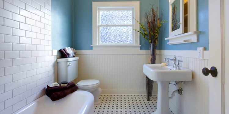 Plantas que são ideias para ficar no banheiro e absorver a umidade