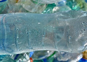 Suas plantas não iram morrer em viagens se você fizer isso