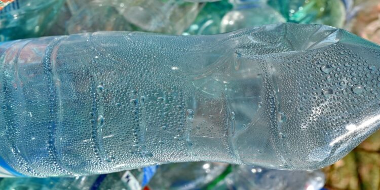 Suas plantas não iram morrer em viagens se você fizer isso