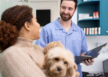 Plano de saúde pet vale a pena? Foto: FreePik