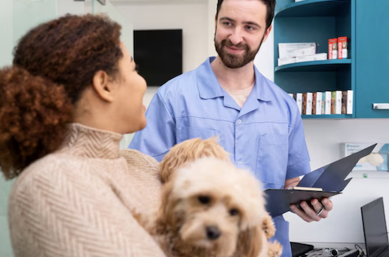 Plano de saúde pet vale a pena? Foto: FreePik