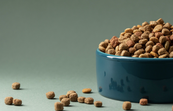 Aprenda a ler os rótulos e descubra o que realmente é importante em uma ração para seu cachorro. foto: FreePik