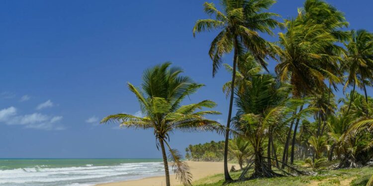 Refúgios de mar cristalino oferecendo tranquilidade e contato direto com a natureza. - Créditos: depositphotos.com / contato@caciomurilo.com.br