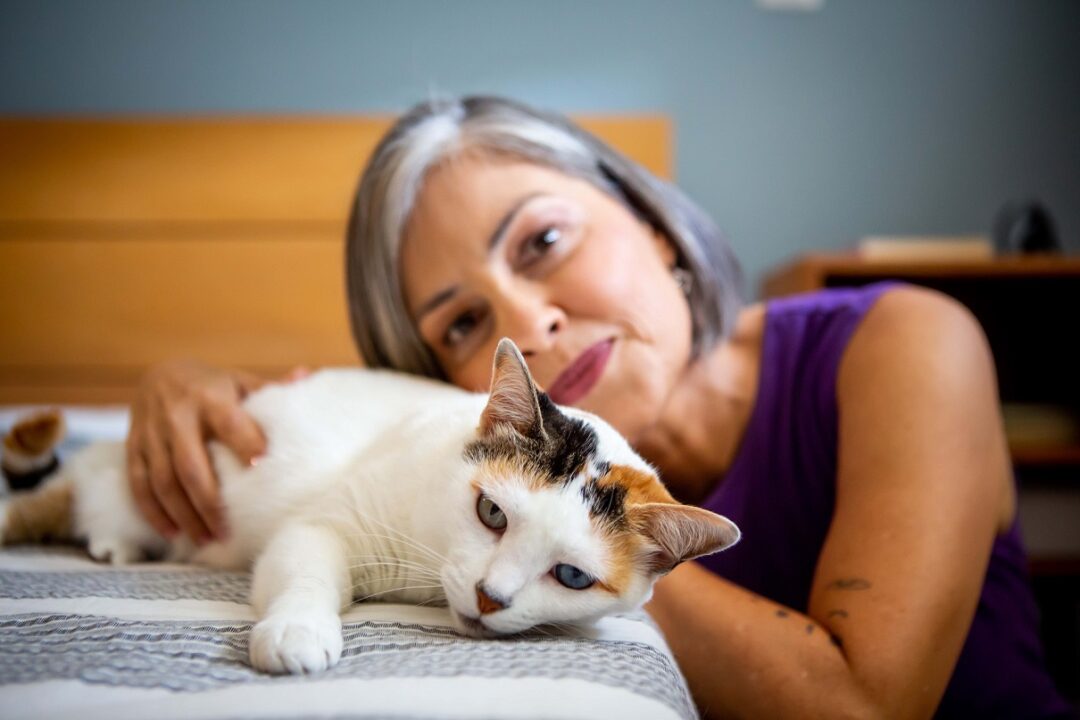 A Louca dos Gatos revela 6 descobertas sobre convivência com felinos que todo tutor precisa ouvir. Foto: Lela Beltrão
