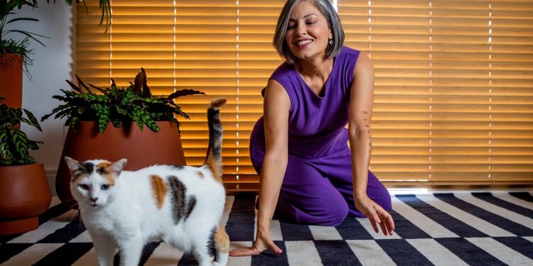 A Louca dos Gatos revela 6 descobertas sobre convivência com felinos que todo tutor precisa ouvir. Foto: Lela Beltrão