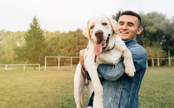 Que tipo de tutor de pet você é? Foto: FreePik