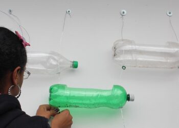 Como usar garrafas PET e canos de PVC para plantar em casa