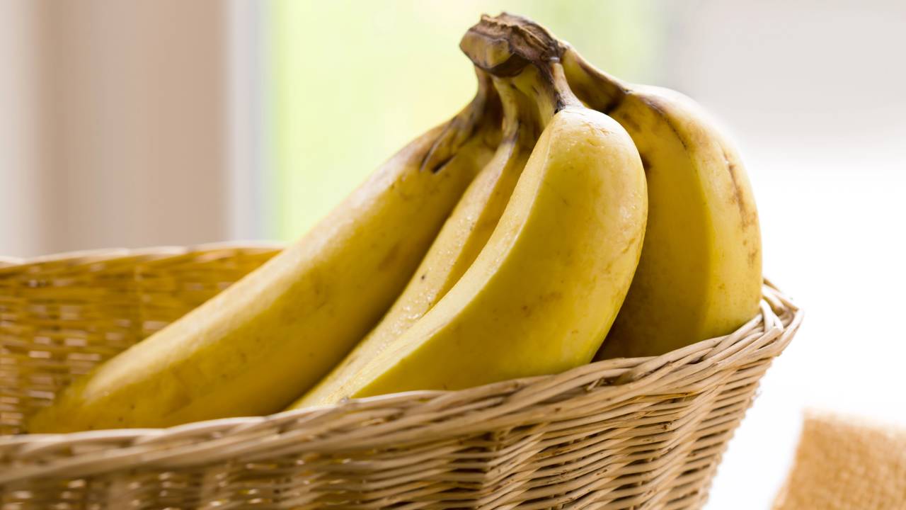 Como transformar cascas de ovo e banana em nutrientes poderosos para suas plantas