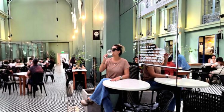 Novidades para brasileiros no Chile vão muito além dos vinhos - Arquivo Pessoal/Paty Moraes Nobre