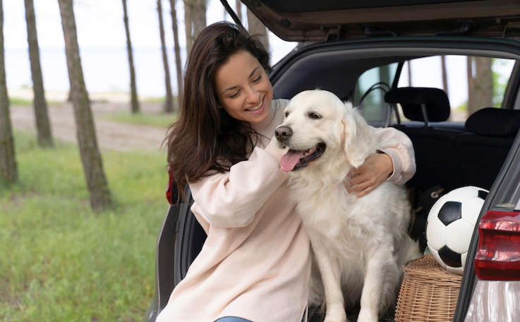 Viagem com pet sem perrengues. Foto: FreePik
