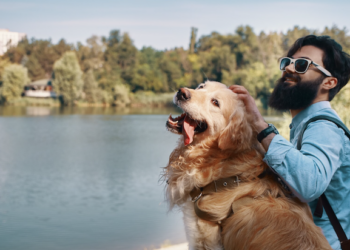 Viagem com pet sem perrengues. Foto: FreePik