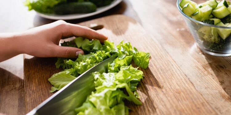 O passo a passo para plantar e colher os melhores alfaces na sua própria horta