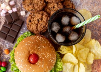 alimentos ultraprocessados