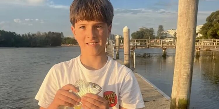 ataques tubarões australia