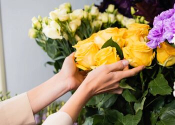 Como cuidar de plantas quando a rotina é imprevisível