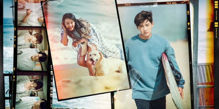 Retrato honesto de términos mal resolvidos - Créditos Netflix