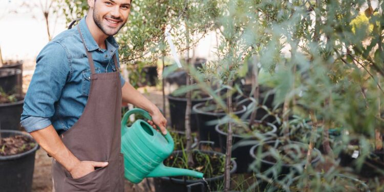 Plantas ideais para quem esquece de regar a horta