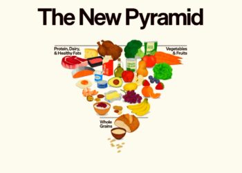 O que muda com a nova pirâmide alimentar dos EUA? - Crédito: Divulgação/Governo dos Estados Unidos