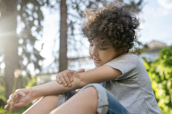 Veja os cuidados que devemos ter com picadas de insetos. Foto: FreePik