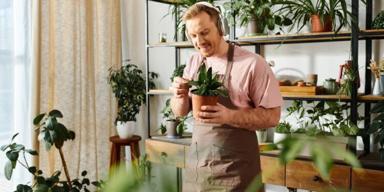 Como as plantas podem salvar a qualidade do ar da sua casa