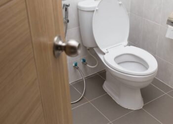 limpeza vaso sanitário