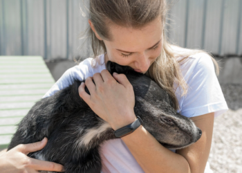 Conheça a lei de proteção aos animais. Foto: FreePik