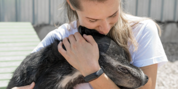 Conheça a lei de proteção aos animais. Foto: FreePik