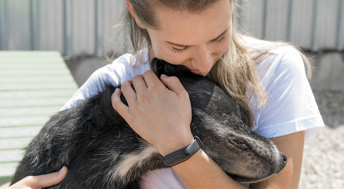 Conheça a lei de proteção aos animais. Foto: FreePik