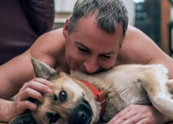 Maltratar animais revela desvio de caráter. Foto: FreePik