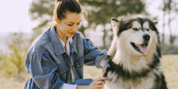 Nova lei permite que cachorro seja sepultado com tutor. Foto: FreePik