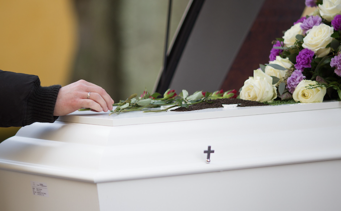 Nova lei permite que cachorro seja sepultado com tutor. Foto: FreePik