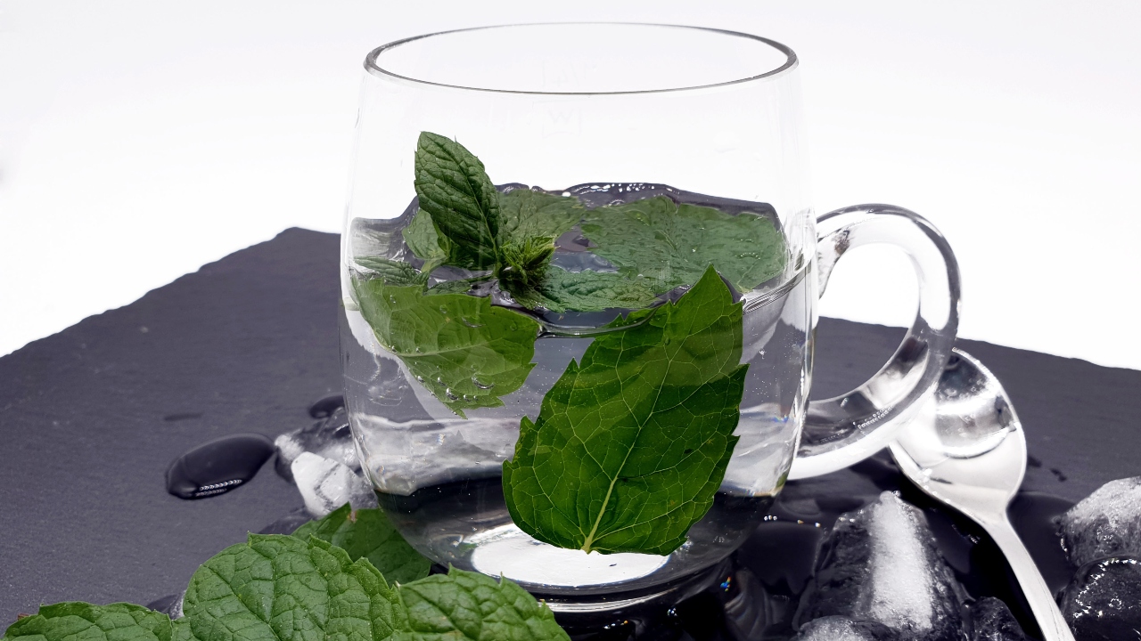 Plantas medicinais em casa