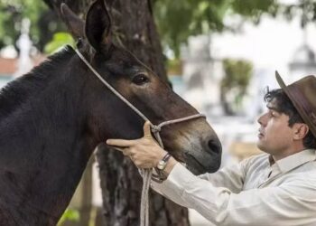 Policarpo Êta Mundo Melhor!