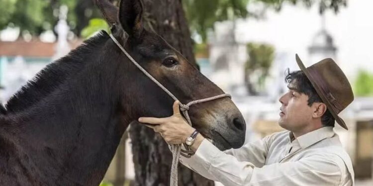 Policarpo Êta Mundo Melhor!