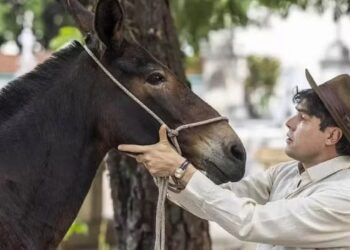 Resumo Êta Mundo Melhor!