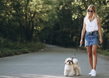 Rituais diários para fazer com seu pet. Foto: Freepik