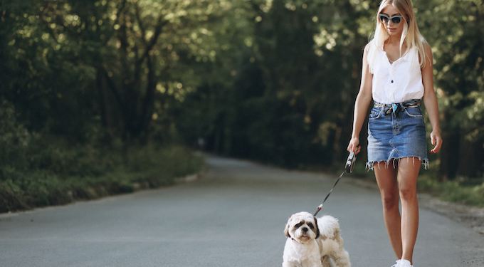 Rituais diários para fazer com seu pet. Foto: Freepik