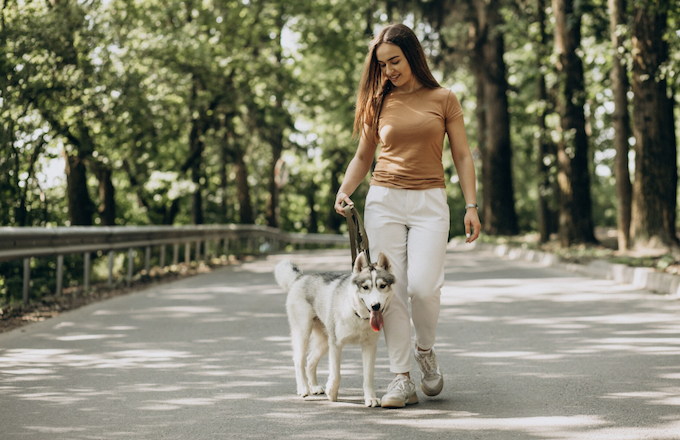 Rituais diários para fazer com seu pet. Foto: Freepik