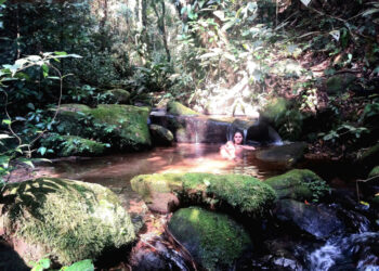 Paranapiacaba: A vila da neblina que esconde trilhas, história e natureza