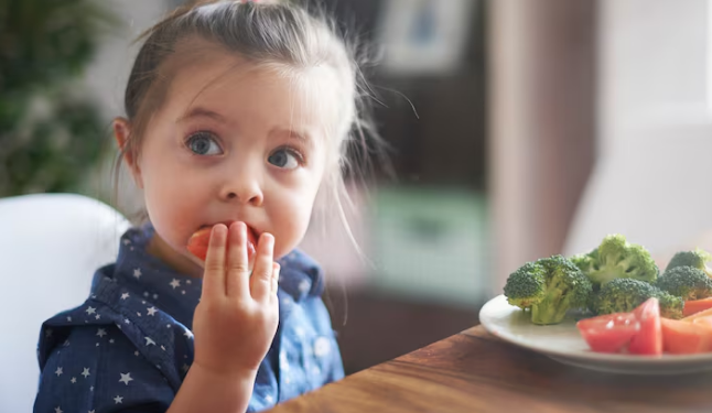 Como combater a recusa alimentar? Foto: FreePik