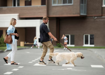 Regras equilibram convivência coletiva e direito de manter animais nas unidades. Foto: FreePik