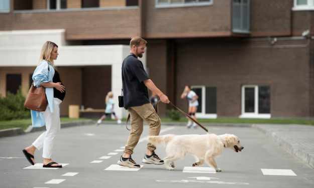 Regras equilibram convivência coletiva e direito de manter animais nas unidades. Foto: FreePik