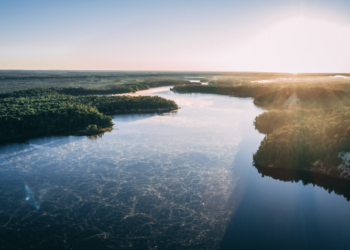 Brasil descobre reserva de água. Foto: FreePik