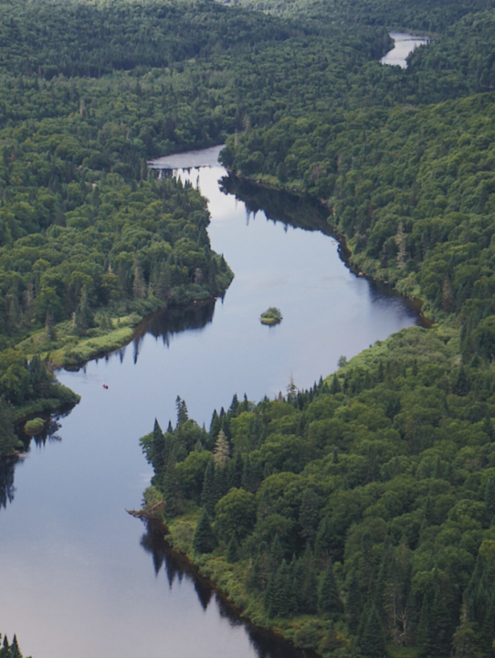 Brasil descobre reserva de água. Foto: FreePik