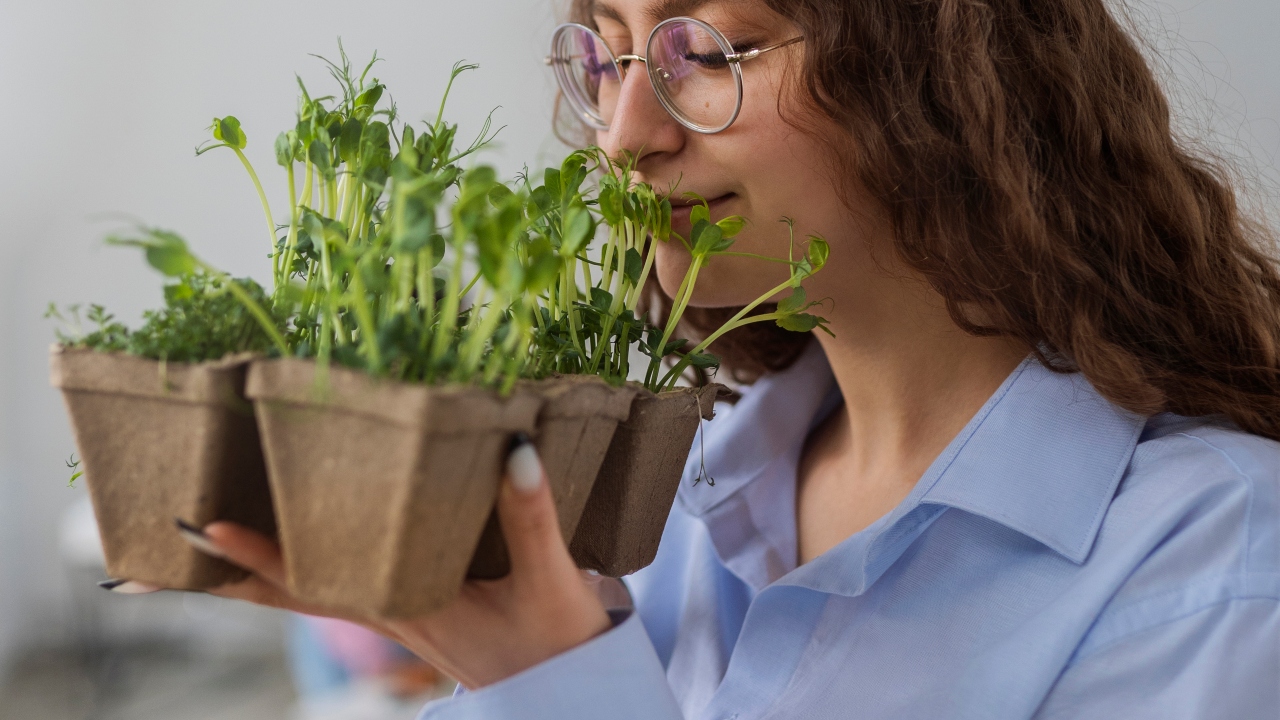 horta vertical